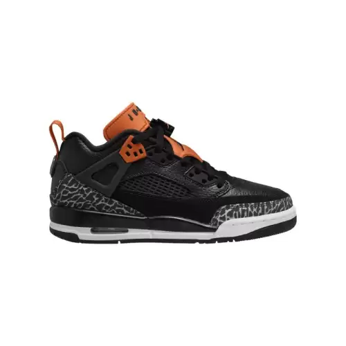 Pantofi sport Nike JORDAN SPIZIKE LOW BG