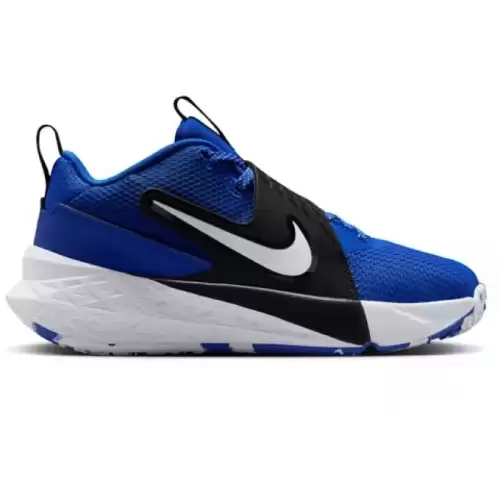 Pantofi sport Nike TEAM HUSTLE D 12 GS